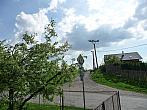 Třibřichy